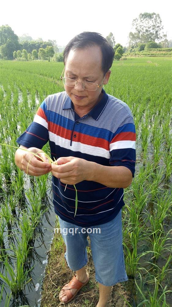 可以啊的头像