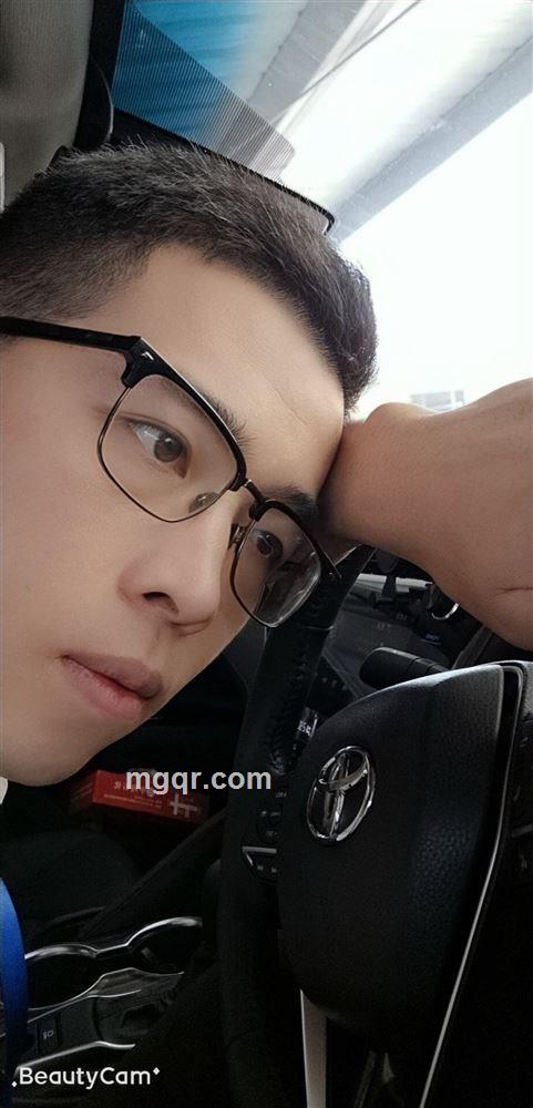 阴天里的向日葵的头像