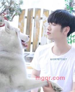 找人作伴的头像