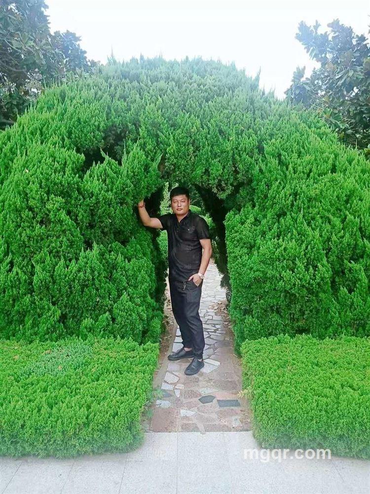 跳动的寂寞的头像