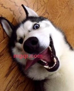 你的糖果丢了的头像