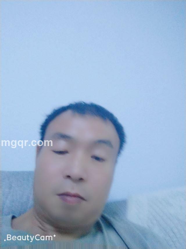 自由飞翔的头像