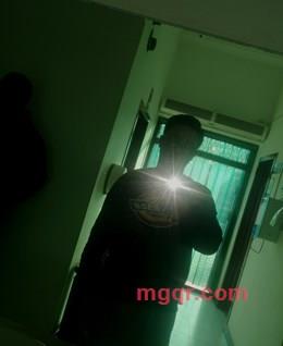 各国国会建筑物的头像