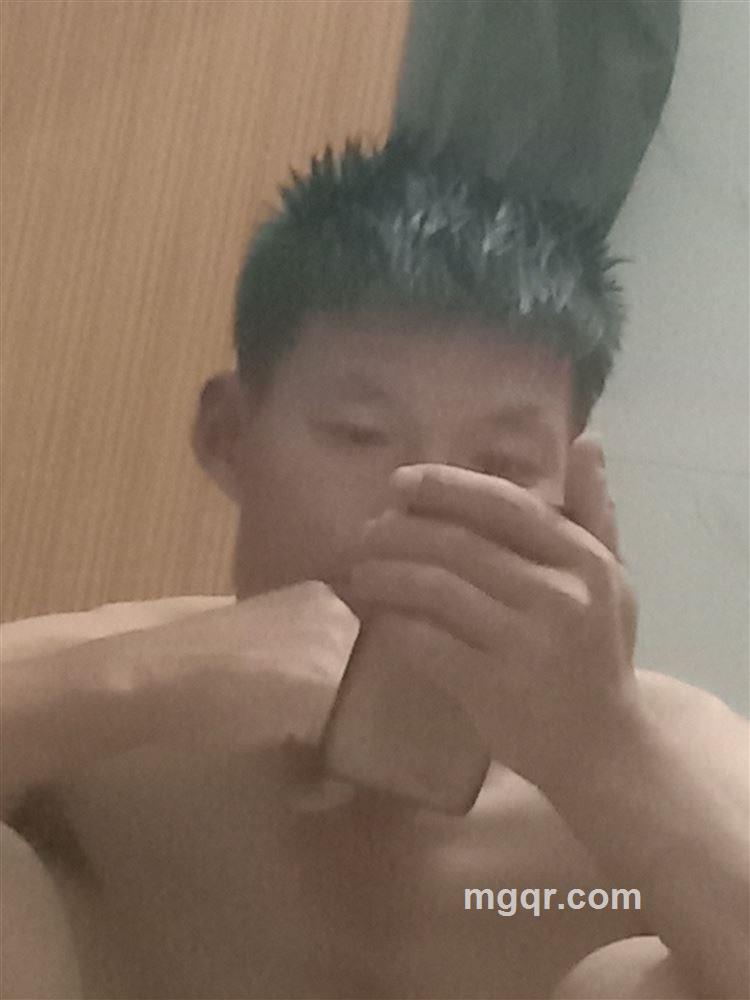 自由的风的头像