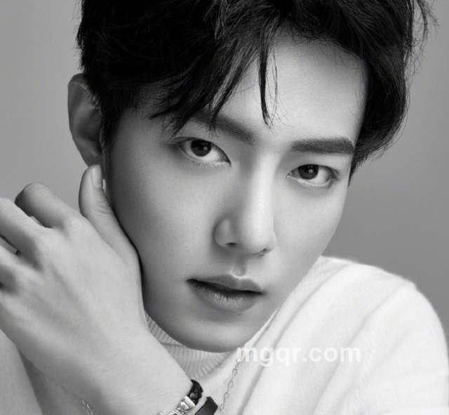 孤狼啸月的头像