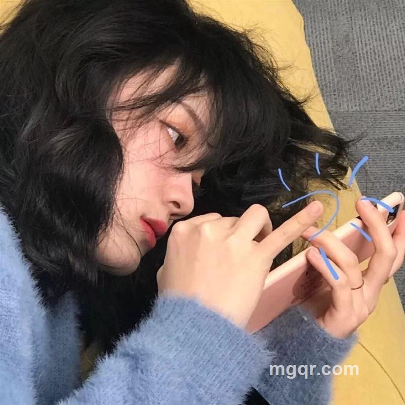 怀里的猫的头像