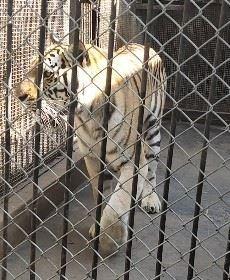 小洁的姐姐的头像