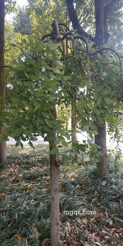 暖丶色调っ的头像