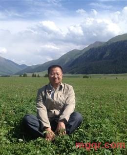 天山男神的头像