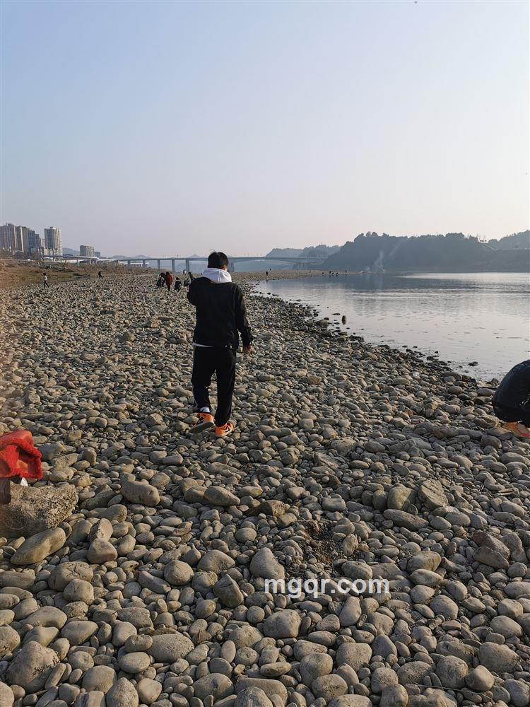 帅的一匹的头像