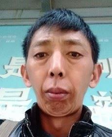 非诚勿扰的头像