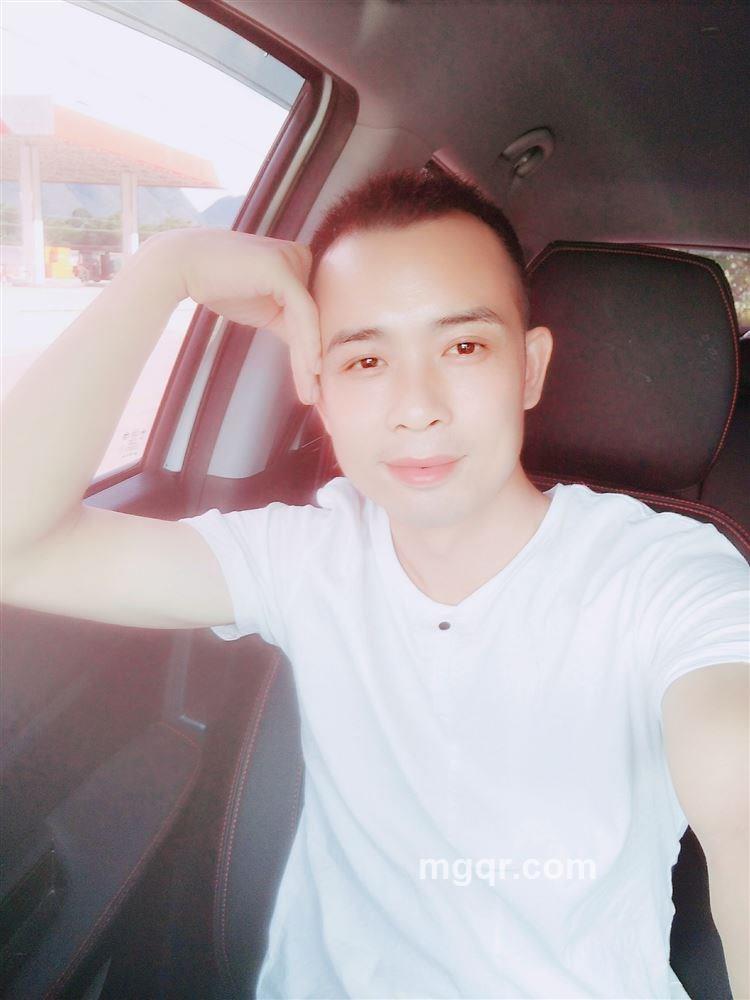 蓝色翅膀的黑蚂蚁的头像