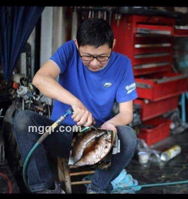 随风而逝的头像