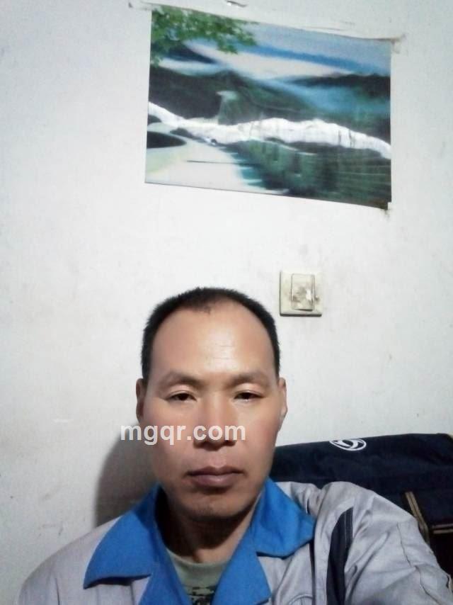 蛋大鸟笨的头像