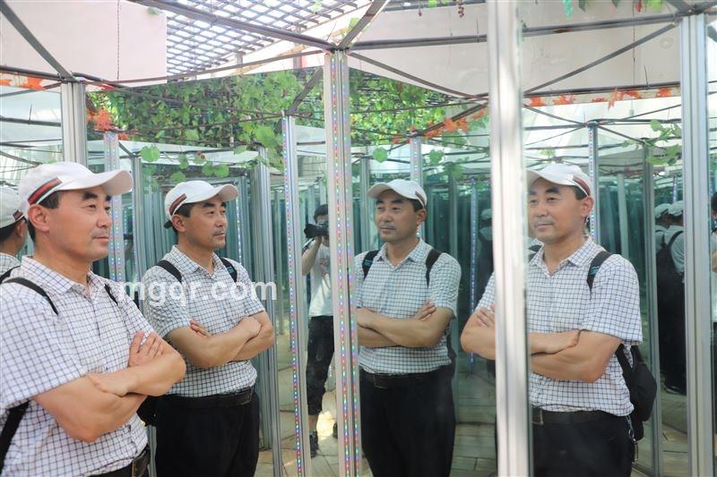 溜有愉地的头像