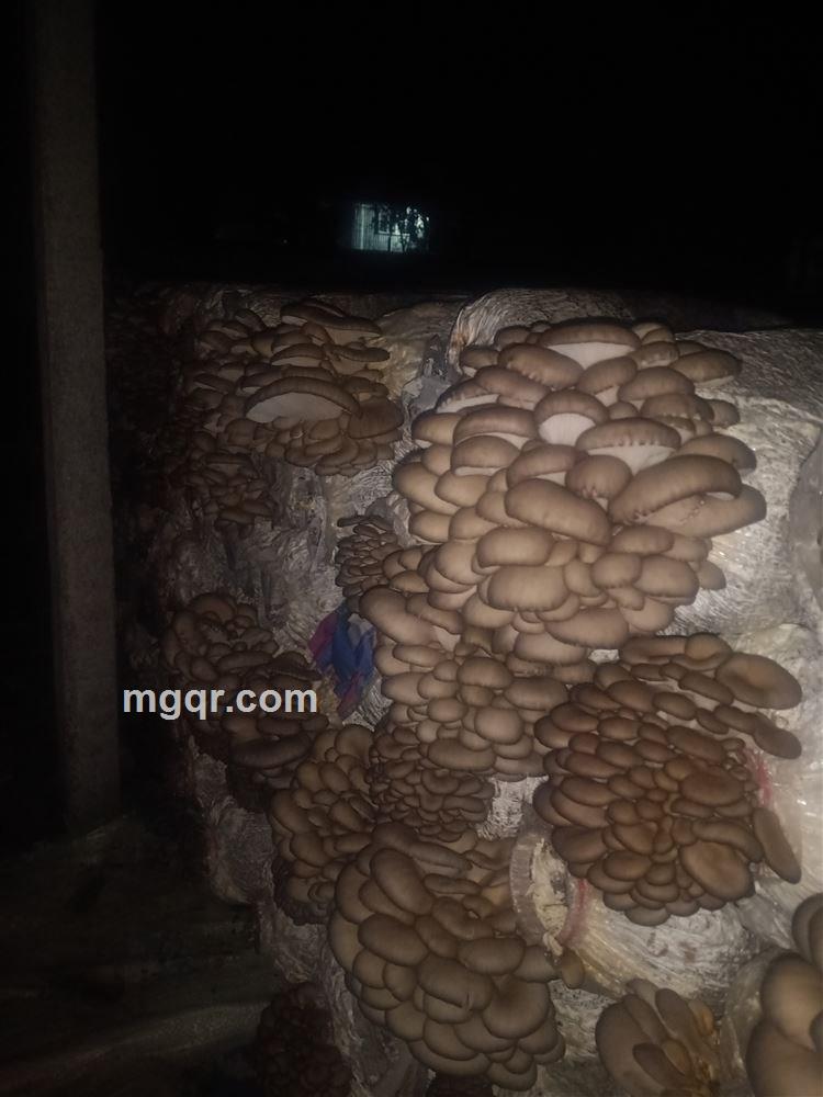 爱怡的合的头像