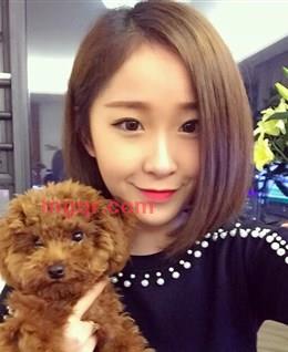 南方有佳人1990的头像