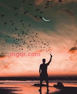 有心流浪的头像