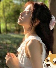 。。。。。。。。的头像