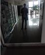 无心人的头像