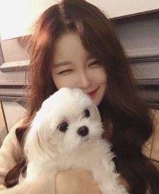 遇见最美的时光的头像