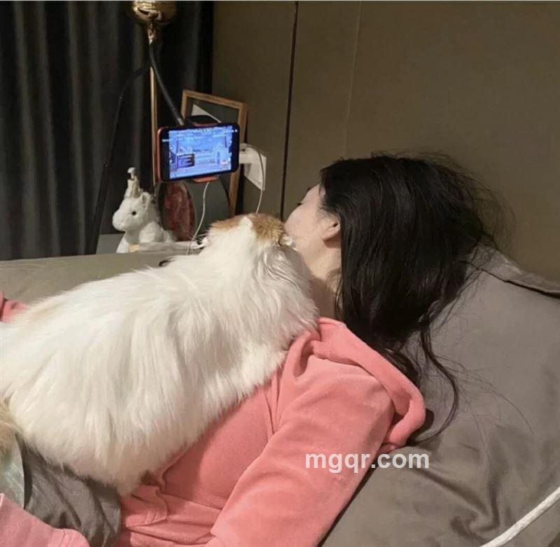 撩人女杀手的头像