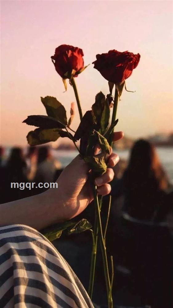 若夫樱雨霏霏的头像