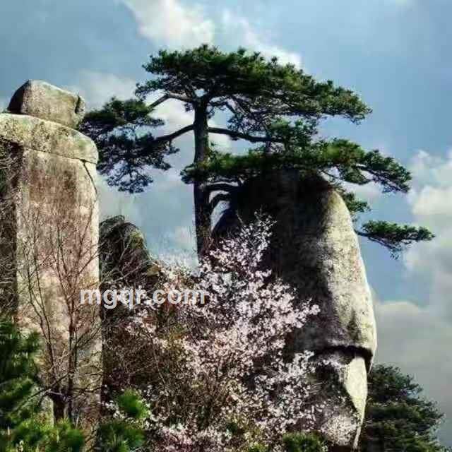 田园风光的头像