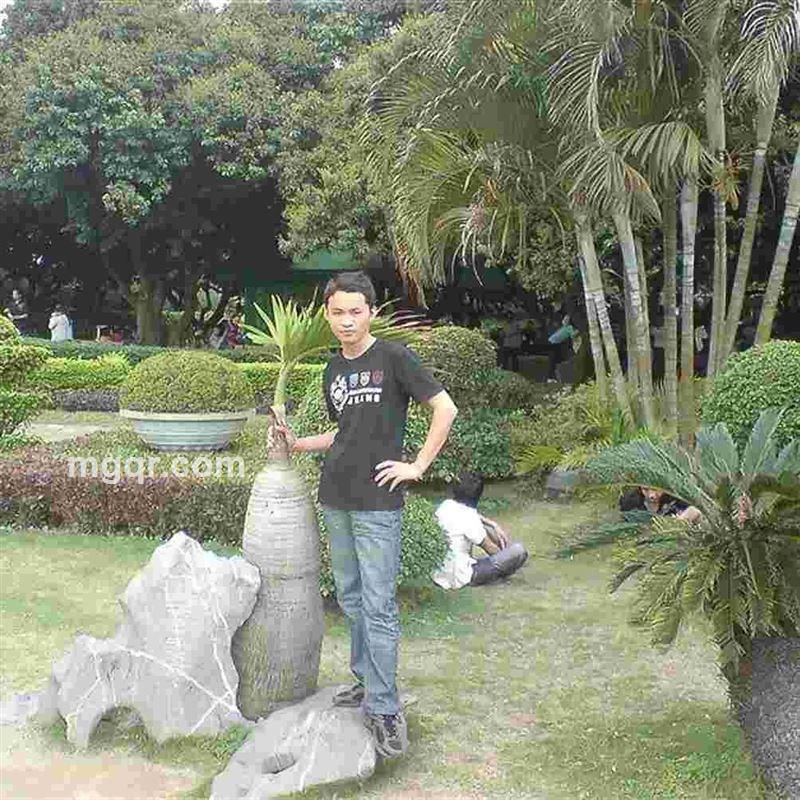 胜天半子的头像