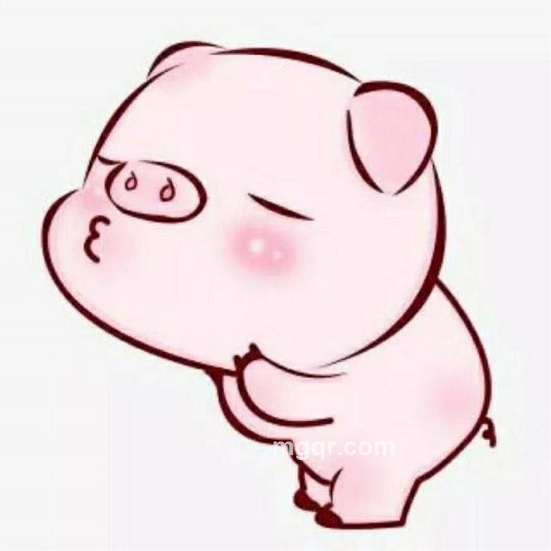 权世界的头像