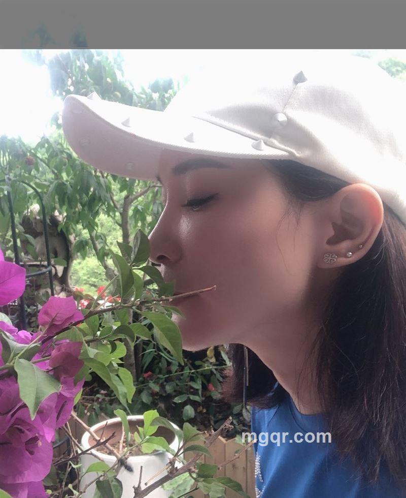 乐派天使的头像