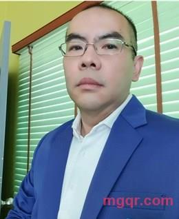 漂亮的蜜蜂的头像