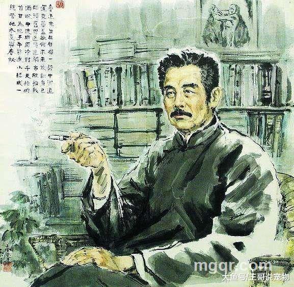 風輕雲淡的头像