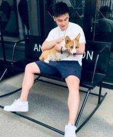 一只小懒猫的头像