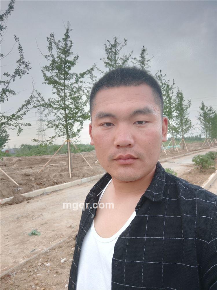 铁打的营盘的头像