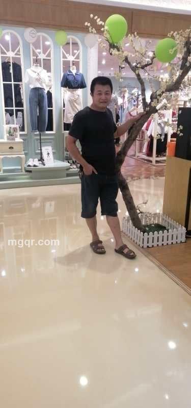 会飞的狼的头像