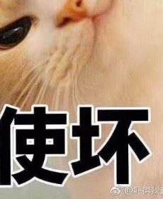 万幸以得相识的头像