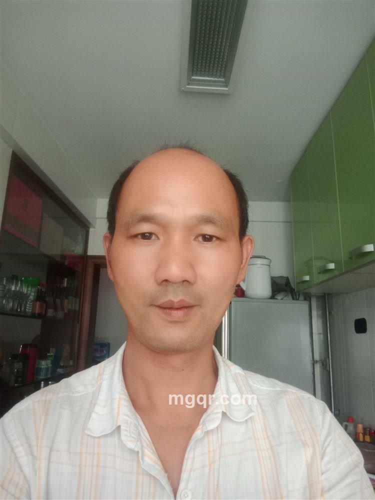 太喜欢春城的头像