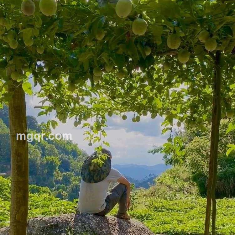 乡村的草帽的头像