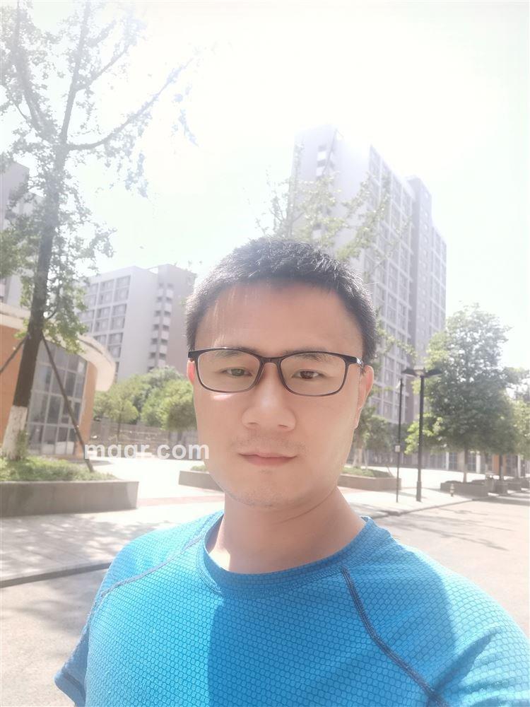 追逐爱情的猫咪