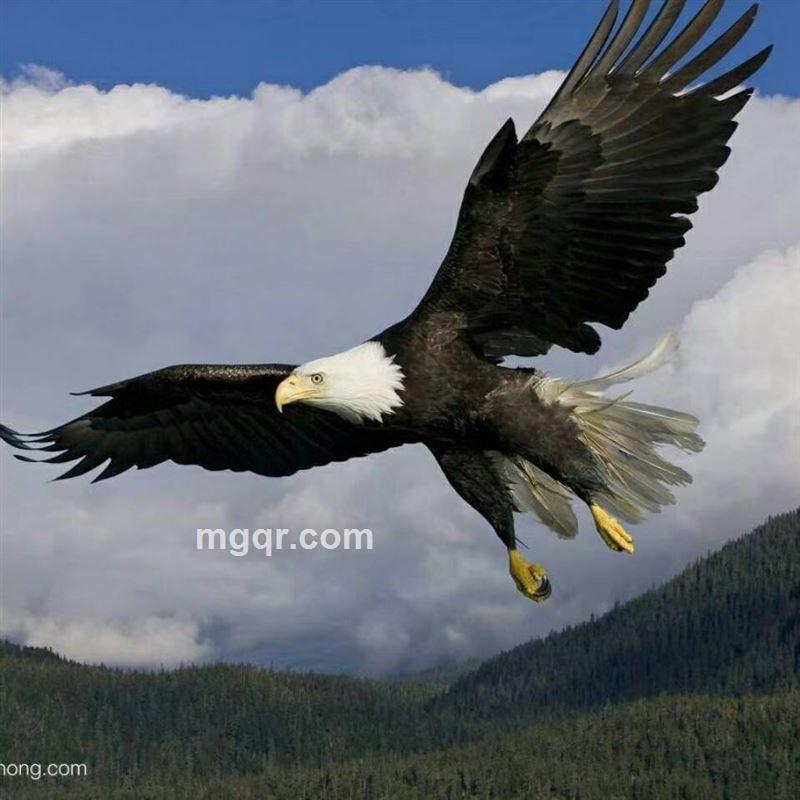 冰川盖世的头像