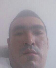 对酒当歌的头像