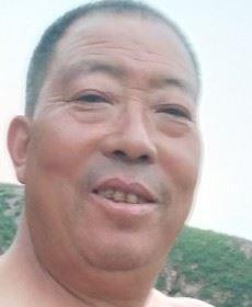 可爱的小鸟的头像