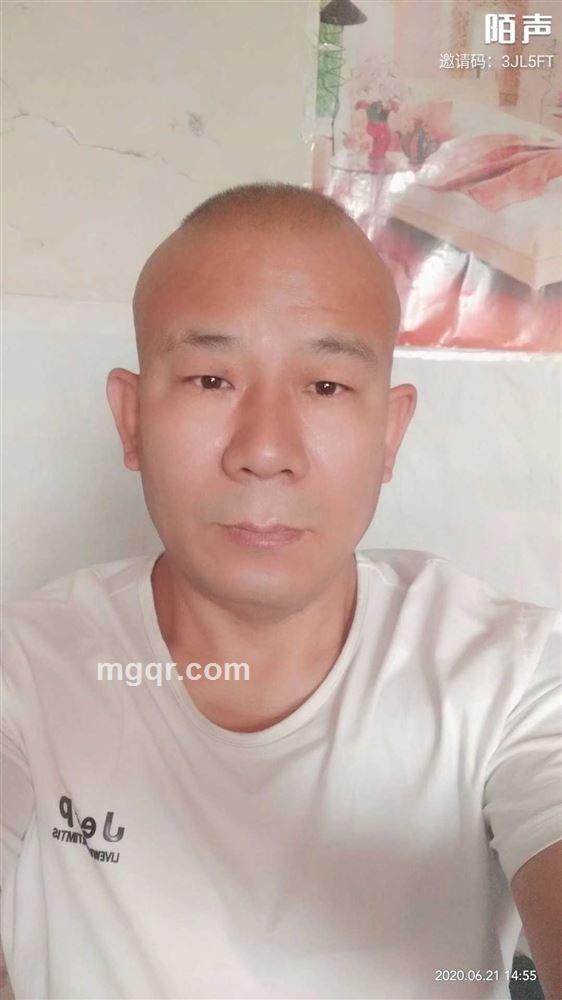 情人情的头像