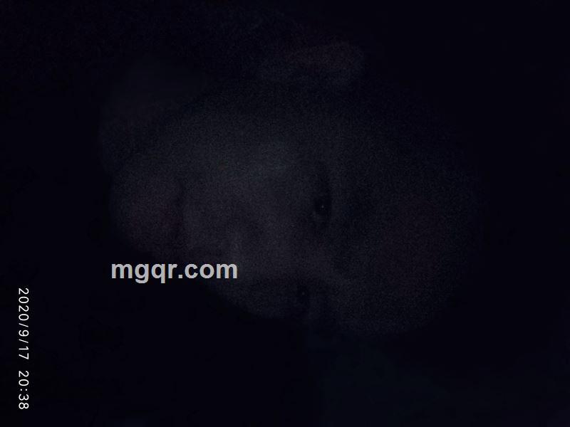 各取所需的头像