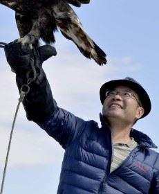 似是故人来的头像