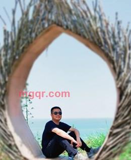 绿色橄榄枝A的头像