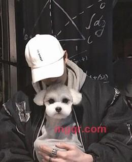 老男孩的的头像