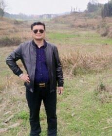 无怨无悔的头像