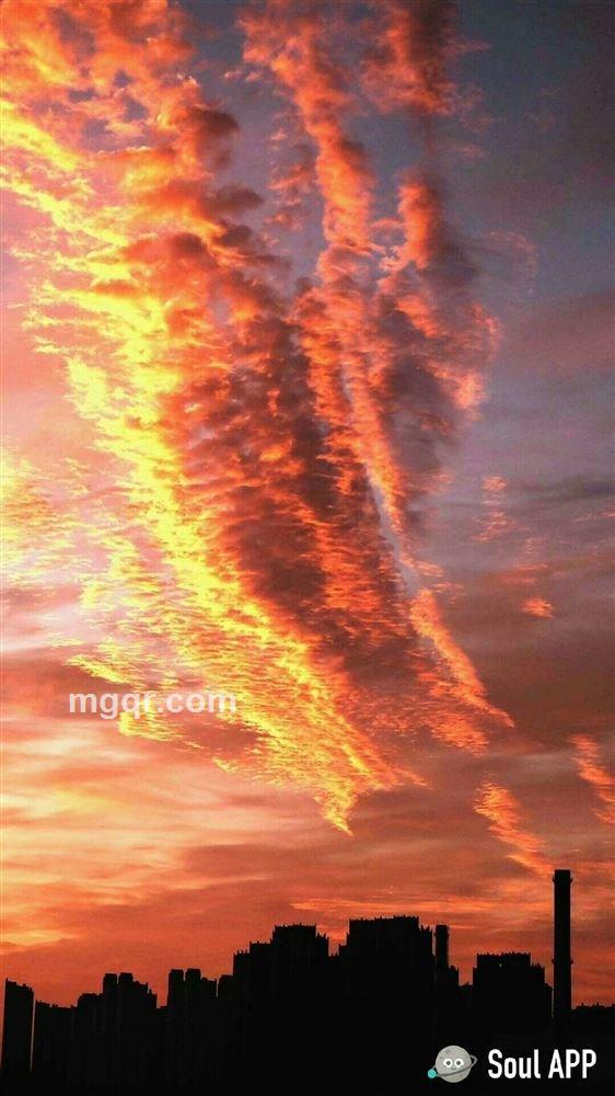 你的赵哥哥哟的头像